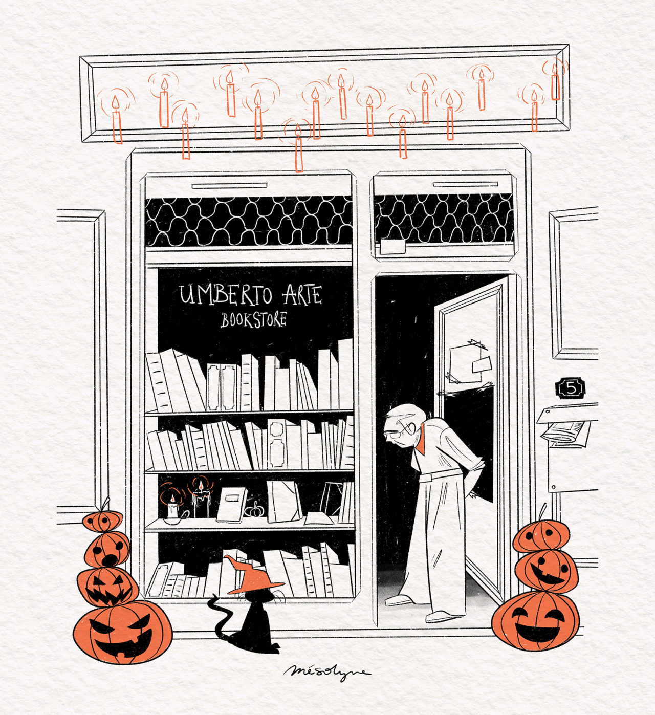 bookstore_mesolyne